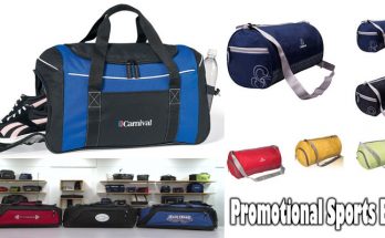 Promotional Sports Bag and It's Remarkable Game Program